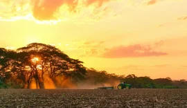Agro pode movimentar R$ 3,5 bilhões com créditos de carbono até 2035