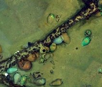 Tesouro romano submerso há 2 mil anos é encontrado em lago na Suíça