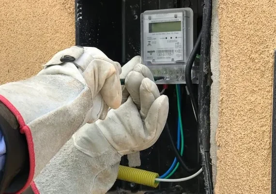 “Gato” provoca prejuízo de R$ 300 milhões por ano em Alagoas