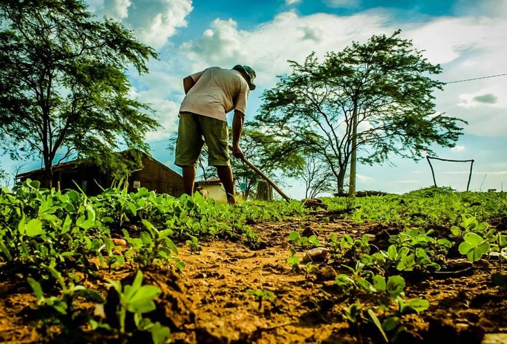 Garantia-Safra libera pagamento para 60 mil agricultores familiares