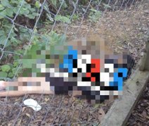 Corpo de homem com marcas de tiros na cabeça é encontrado na Santa Amélia