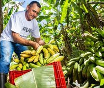 Cooperativas da agricultura familiar contribuem para o combate à insegurança alimentar em Alagoas