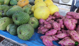 Circuito de Feiras começa por Piranhas com novo formato; confira