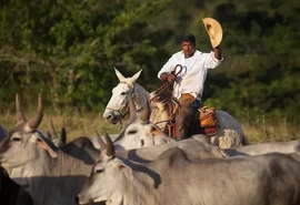 Chapéu ou capacete? Governo esclarece regras de segurança no trabalho rural