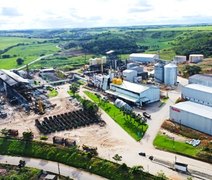 Pindorama programa início da safra 26/27 para agosto