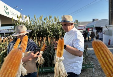 Comitiva alagoana participa do Sealba Show e reforça integração do agro no Nordeste