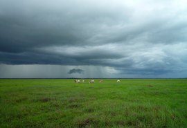Chuvas excessivas podem atrapalhar os trabalhos no campo