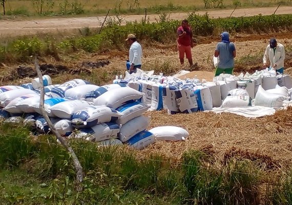 Coobapi e Coopaiba firmam intercooperação para a comercialização do arroz