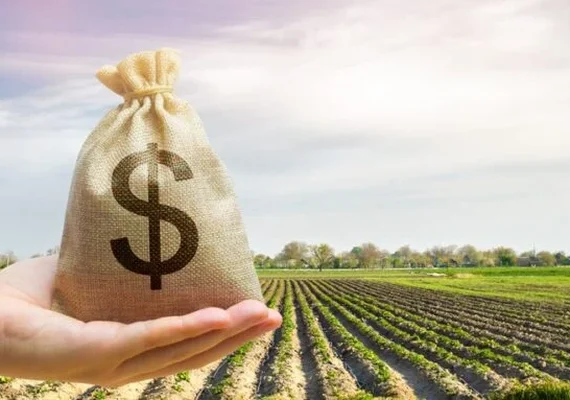 BNDES reabre linhas e anuncia mais crédito rural para safra 22/23