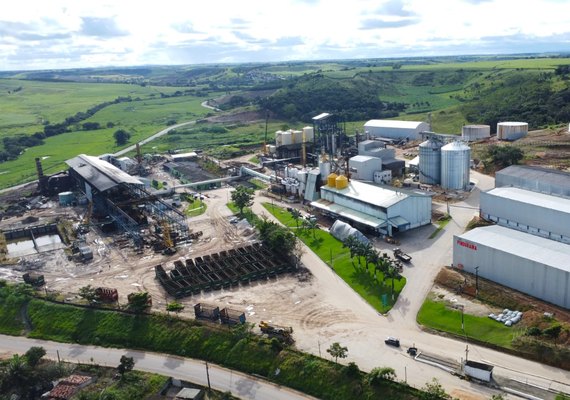 Pindorama aposta em crescimento de safra