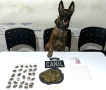 Polícia Militar apreende armas de fogo e drogas em cidades do interior de Alagoas