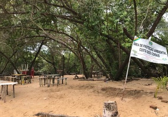 MPF e IMA inspecionam ocupação irregular na Barra de Santo Antônio