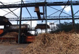 Produção de açúcar ultrapassa 1,3 milhão de toneladas