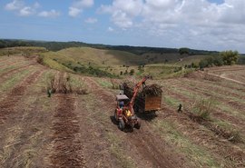 Safra de cana de Alagoas terá crescimento de mais de 16%