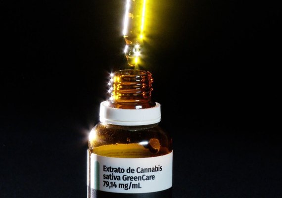 Anvisa amplia uso medicinal da cannabis no Brasil