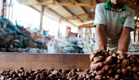 Cooperativas protagonizam novo momento para a sustentabilidade brasileira