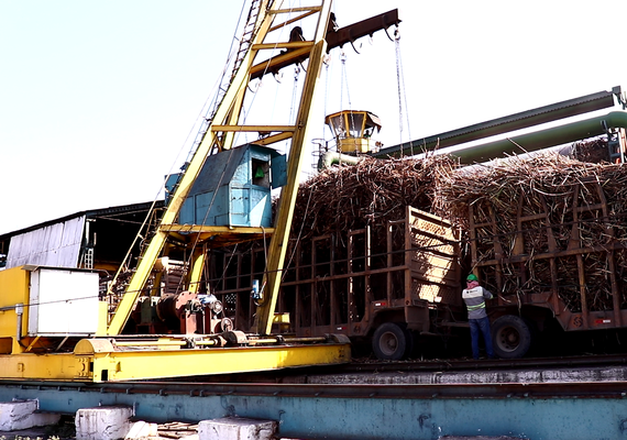 Safra 22/23 ultrapassa 3,1 milhões de toneladas de cana processadas