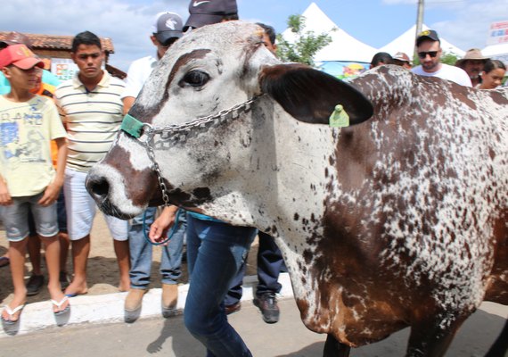 36ª Expo Bacia Leiteira é referência para o Nordeste