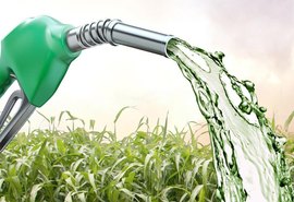 Produção acumulada de etanol volta a crescer na safra 19/20