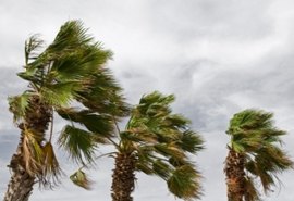 Rajadas podem atingir 50 km/h até fim do mês