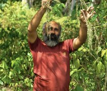 Fazendinha Agroecológica no Flexal garante renda e alimentos saudáveis para Maceió