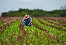 Produtores rurais poderão refinanciar dívidas com juros de 8% ao ano