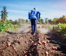 Qual será o emprego mais valorizado no Agro em 2023?