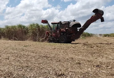 Fim do tarifaço só deve beneficiar açúcar de Alagoas na próxima safra