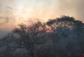 Incêndio de grandes proporções é registrado no município de Cacimbinhas