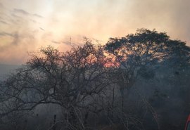 Incêndio de grandes proporções é registrado no município de Cacimbinhas