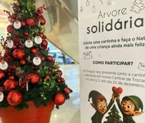 Árvore Solidária do Parque Shopping Maceió é aberta em parceria com a APAE