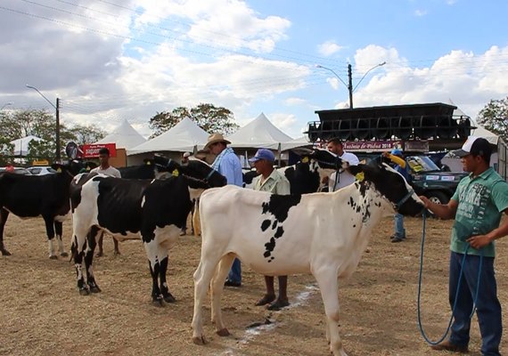 37ª Expo Bacia vai reunir criadores de todo Nordeste