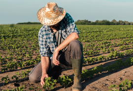 Qualificação da mão de obra vira desafio central para o agro