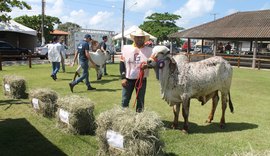 Expoalagoas Genética tem programação diversificada