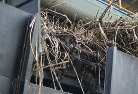 Usina Pindorama já tem data para início da moagem