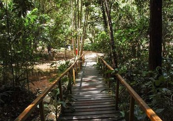 Parques de Maceió voltam a funcionar em horário especial a partir deste sábado (01)