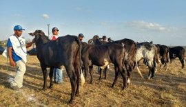 Expo no sertão será marcada por “encontros e desencontros” de políticos