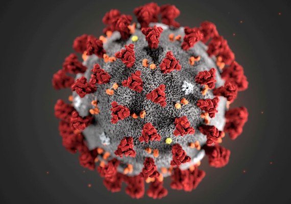 Fiocruz: estudo sugere que variante delta pode causar mais reinfecções