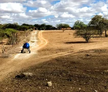Seca atinge 75 municípios de Alagoas e provoca impactos na agricultura familiar