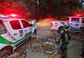 BPA inicia o ano com saldo de 2442 animais apreendidos