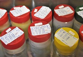 Unidade de saúde coleta doação de leite materno