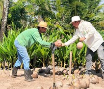 Coopaiba processa 6 milhões de frutos e amplia agroinstrústria em Alagoas