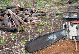 Crimes ambientais na Amazônia poderão ser denunciados por aplicativo