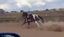 Vídeo: jovem se desespera após cavalo disparar em rua de Goiás