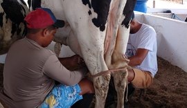 CPLA participará ativamente do Agronordeste