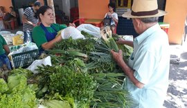 Mercado do Jaraguá comercializa produtos 100% naturais