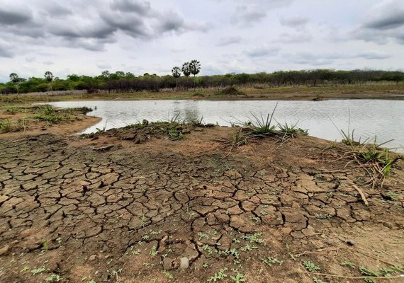 Governo de Alagoas reconhece situação de emergência em 42 municípios