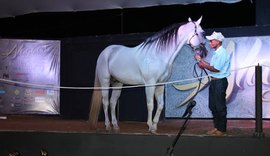 Seleção Alagoas Quarter Horse será apresentada nesta quarta (9)