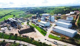 Pindorama programa início da safra 26/27 para agosto