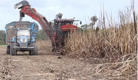 AL Rural viraliza nas redes com reportagem sobre colheita de cana
